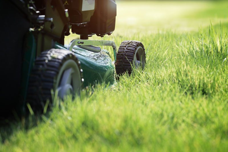 Rosewood Tree & Garden Services garden maintenance