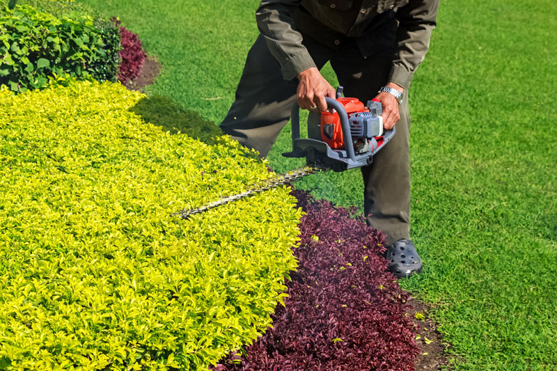 Rosewood Tree & Garden Services bush maintenance