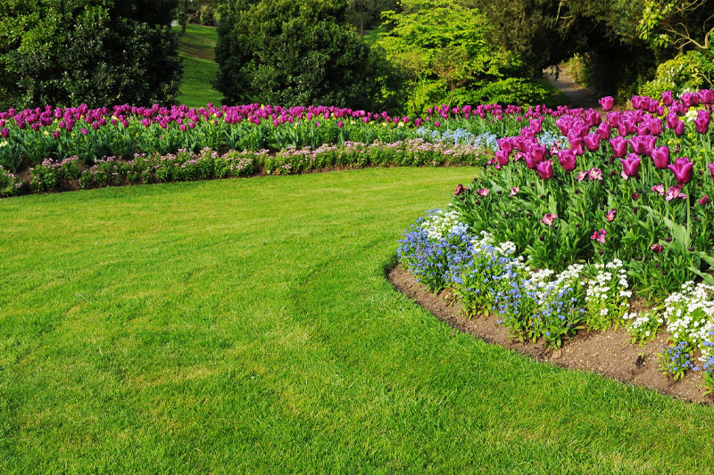 Rosewood Tree & Garden Services cut grass